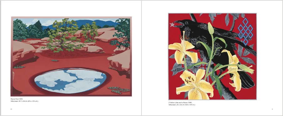 Pomegranate Kate Krasin Luminous Prints bog kunst