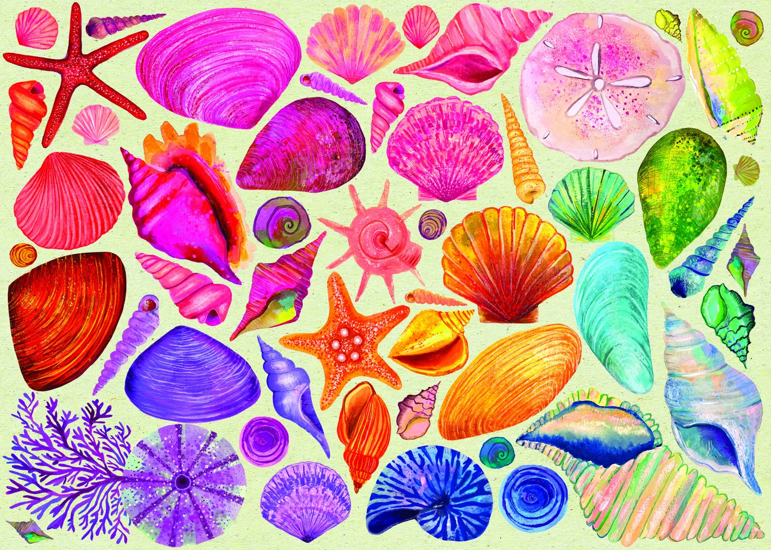 Elena Essex Seashells puslespil 1000 brikker muslinger