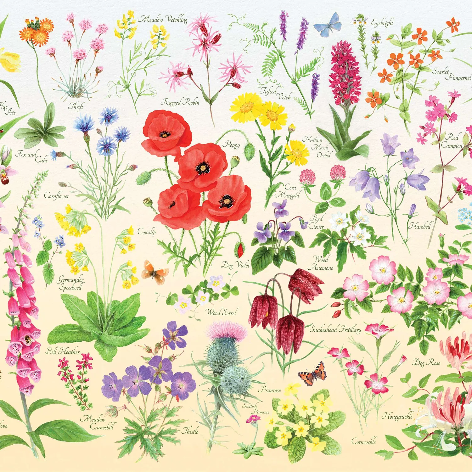 House of Puzzles Wildflowers puslespil tube 150