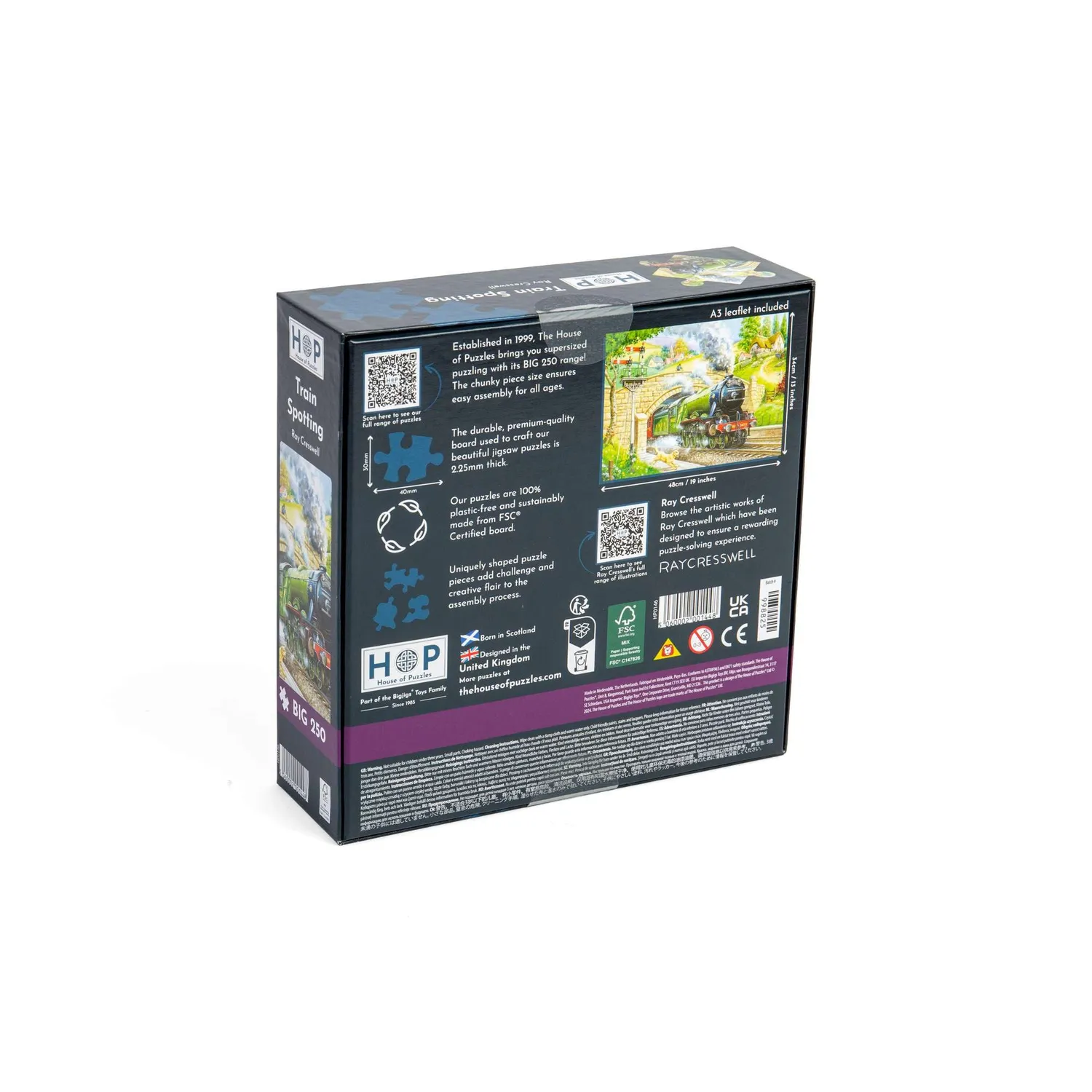 House of Puzzles Train Spotting BIG puslespil 250 store brikker