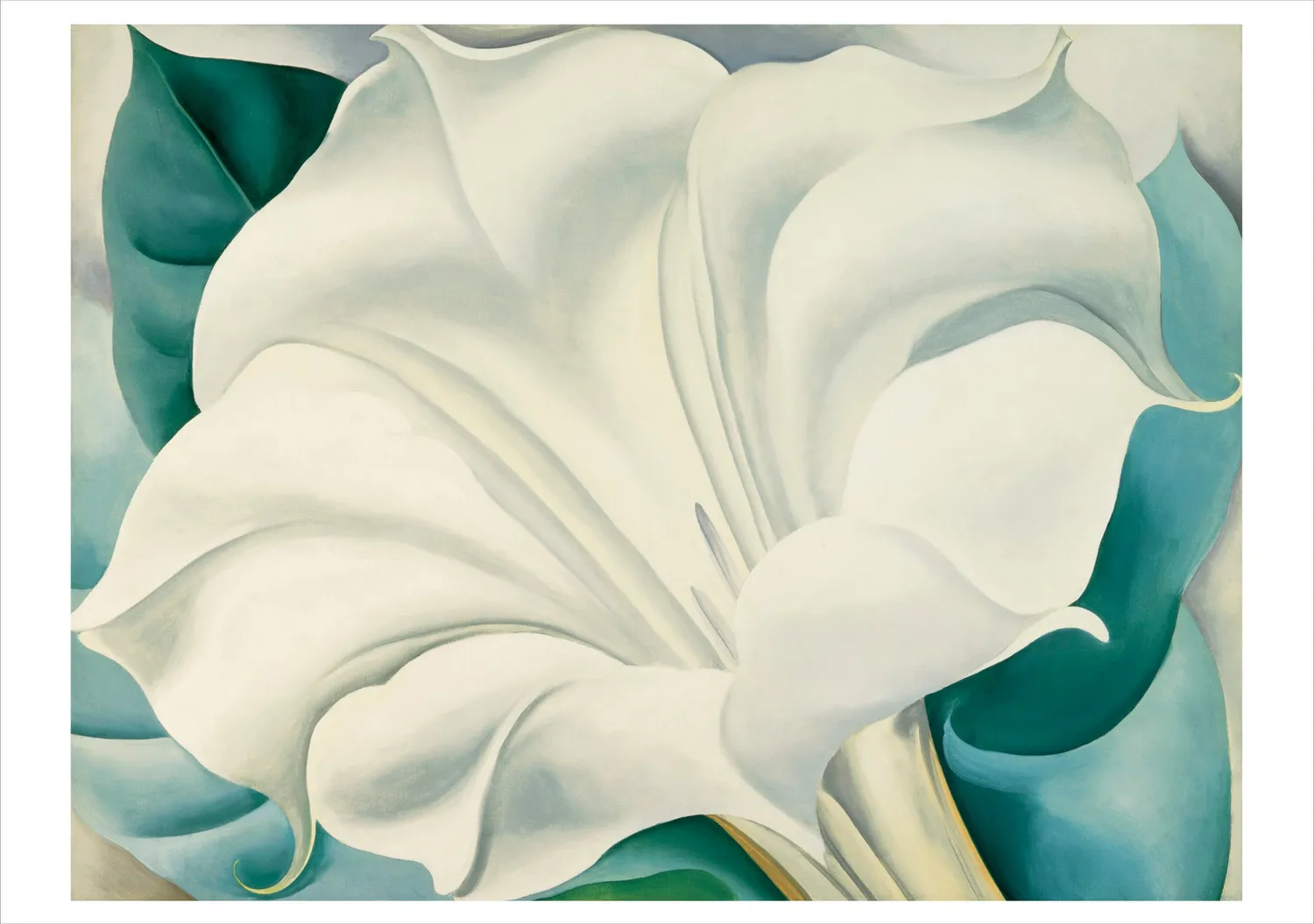 Pomegranate Georgia O’Keeffe kortæske 20 kort blomster