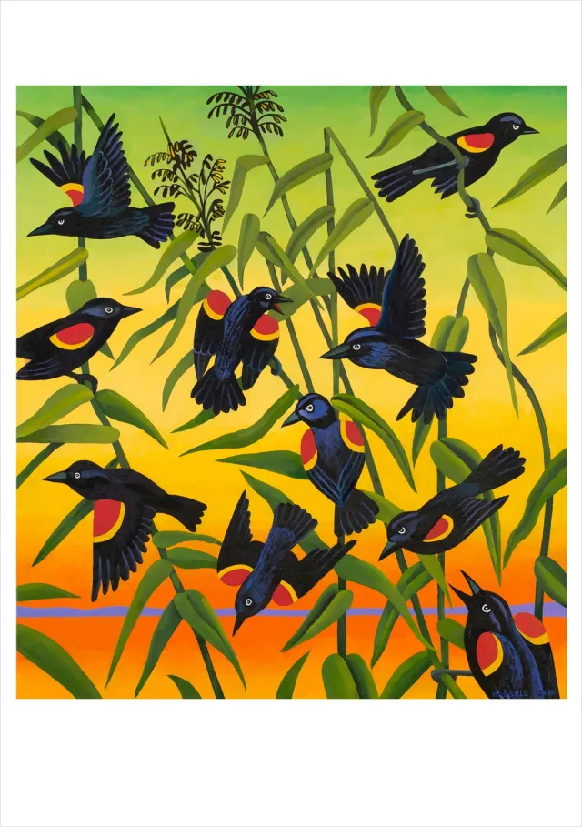 Pomegranate Red-Wing Blackbirds kort enkelt fuglemotiv