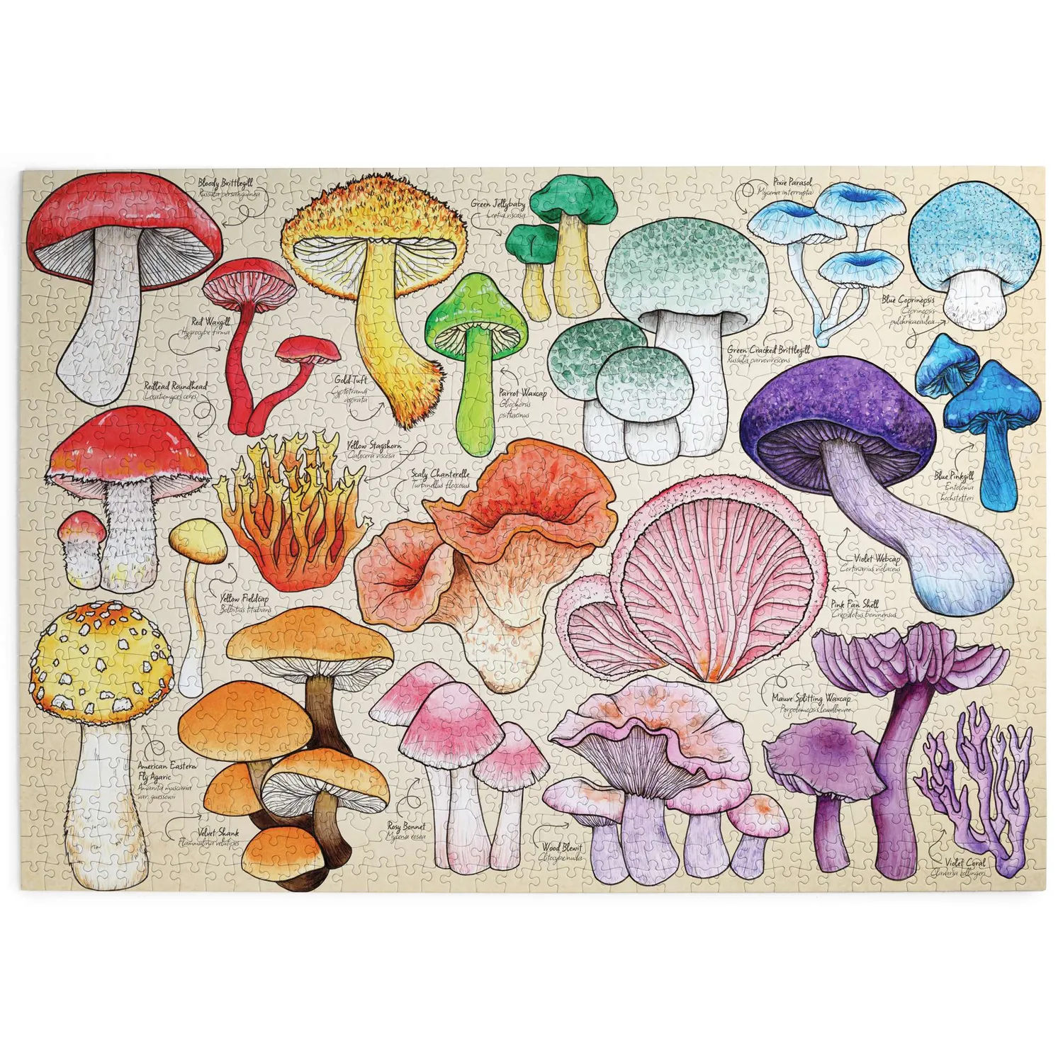 House of Puzzle Mushroom Mania puslespil 1000 svampe