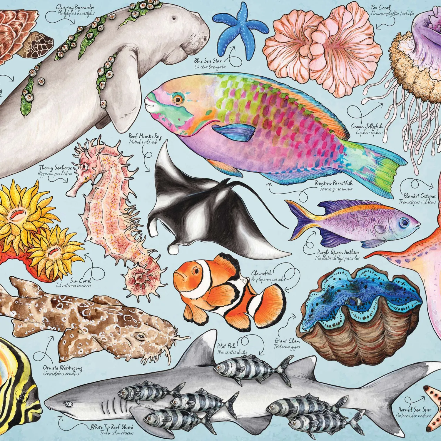 House of Puzzles Great Barrier Reef minipuslespil 150 brikker tube