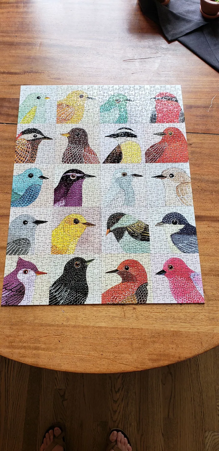 Galison Zlatkis Avian Friends puslespil 1000 brikker fugle