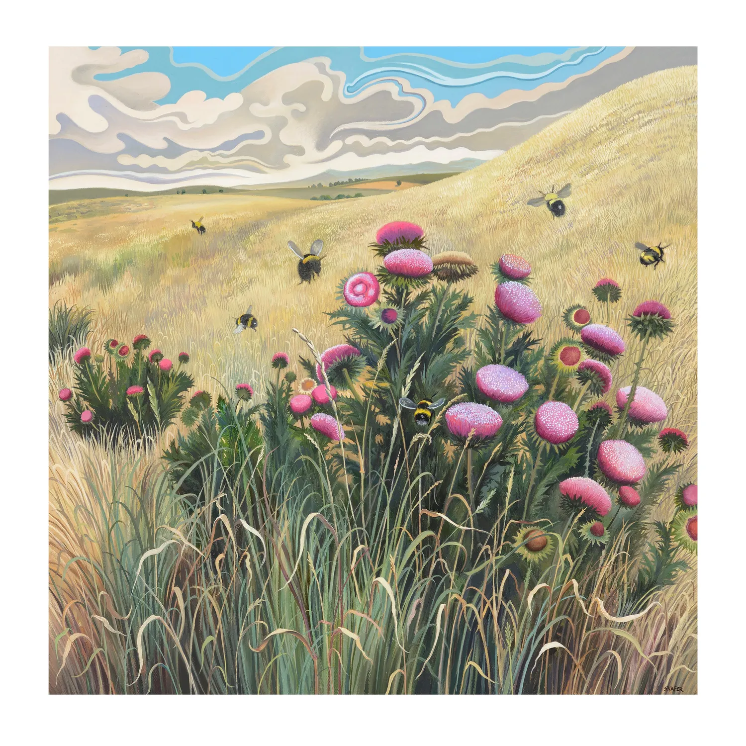 Pomegranate Nature Divine Phyllis Shafer 2027 vægkalender landskaber