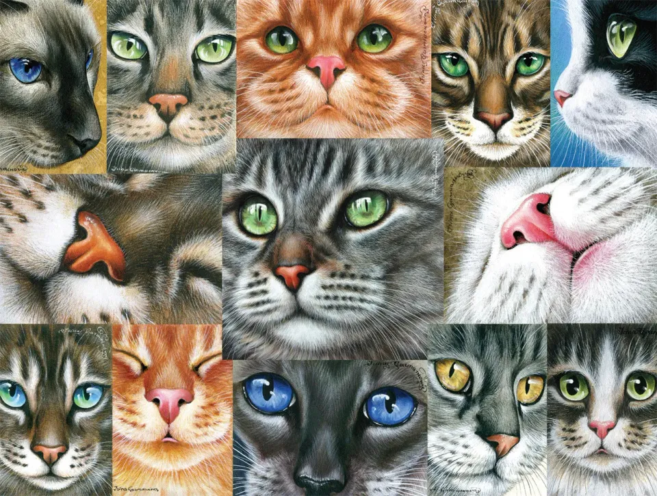 Buffalo Games Cats Close-up puslespil 750 brikker kattecollage