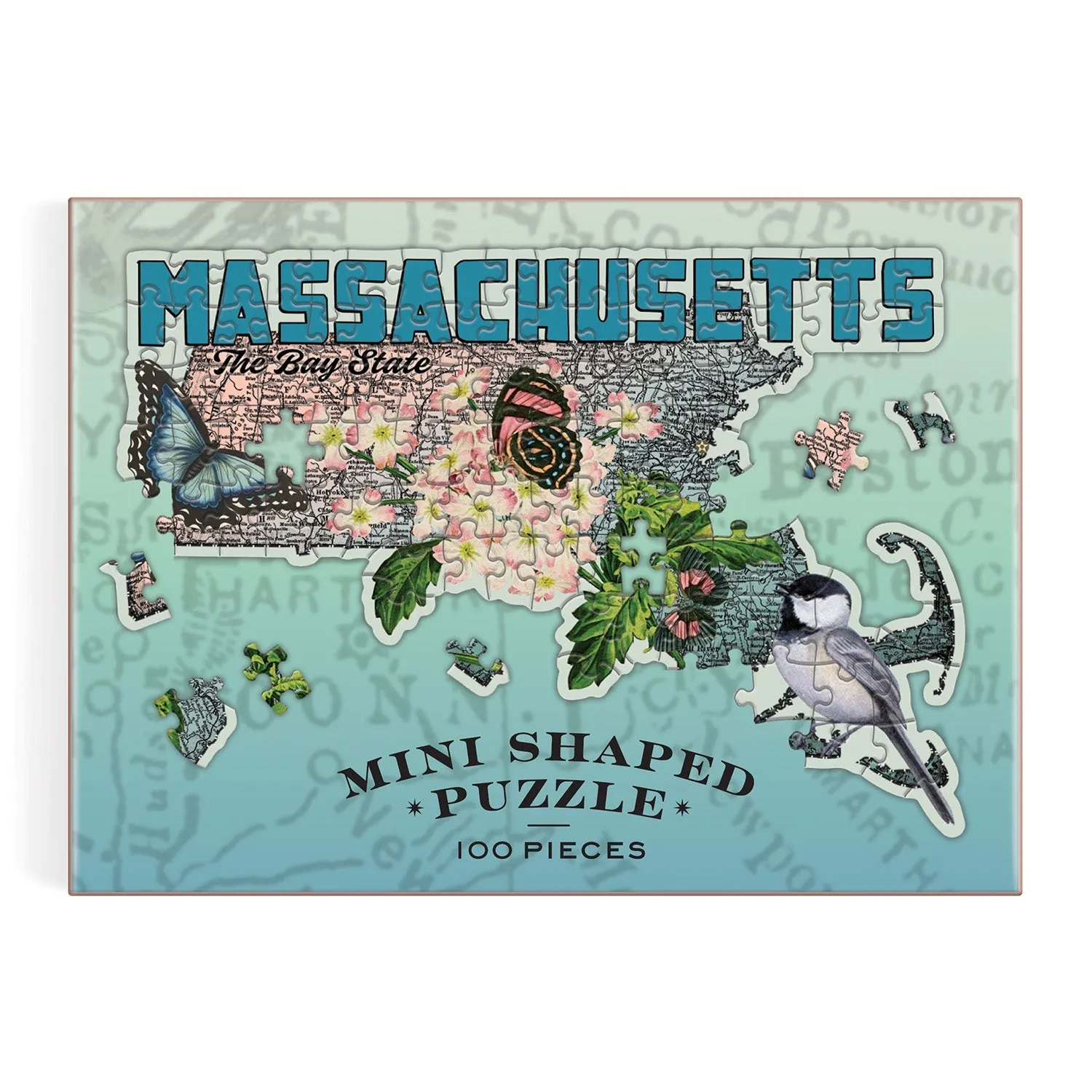 Galison Massachusetts minipuslespil 100 brikker formet