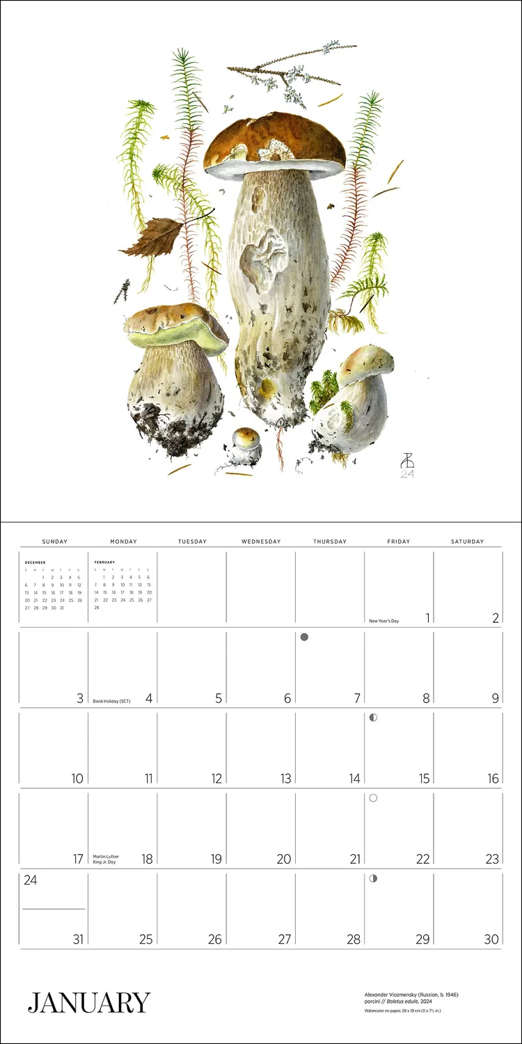 Pomegranate Mushrooms Alexander Viazmensky 2027 vægkalender svampe