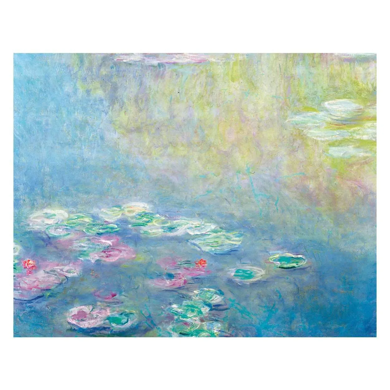 Galison Monet Waterlily Garden kortæske 16 kort åkander