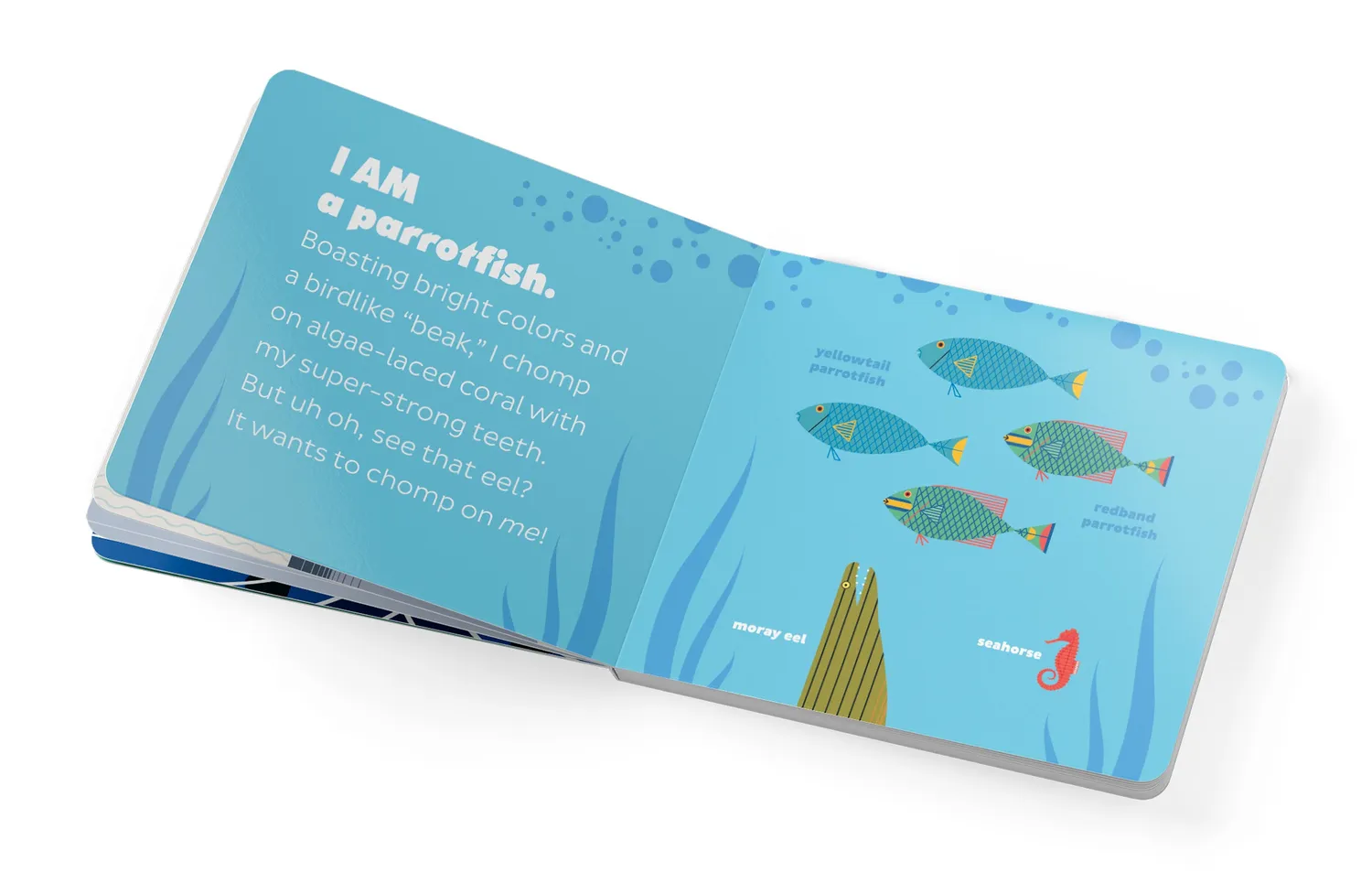 Pomegranate I Am Wild Ocean Charley Harper papbog