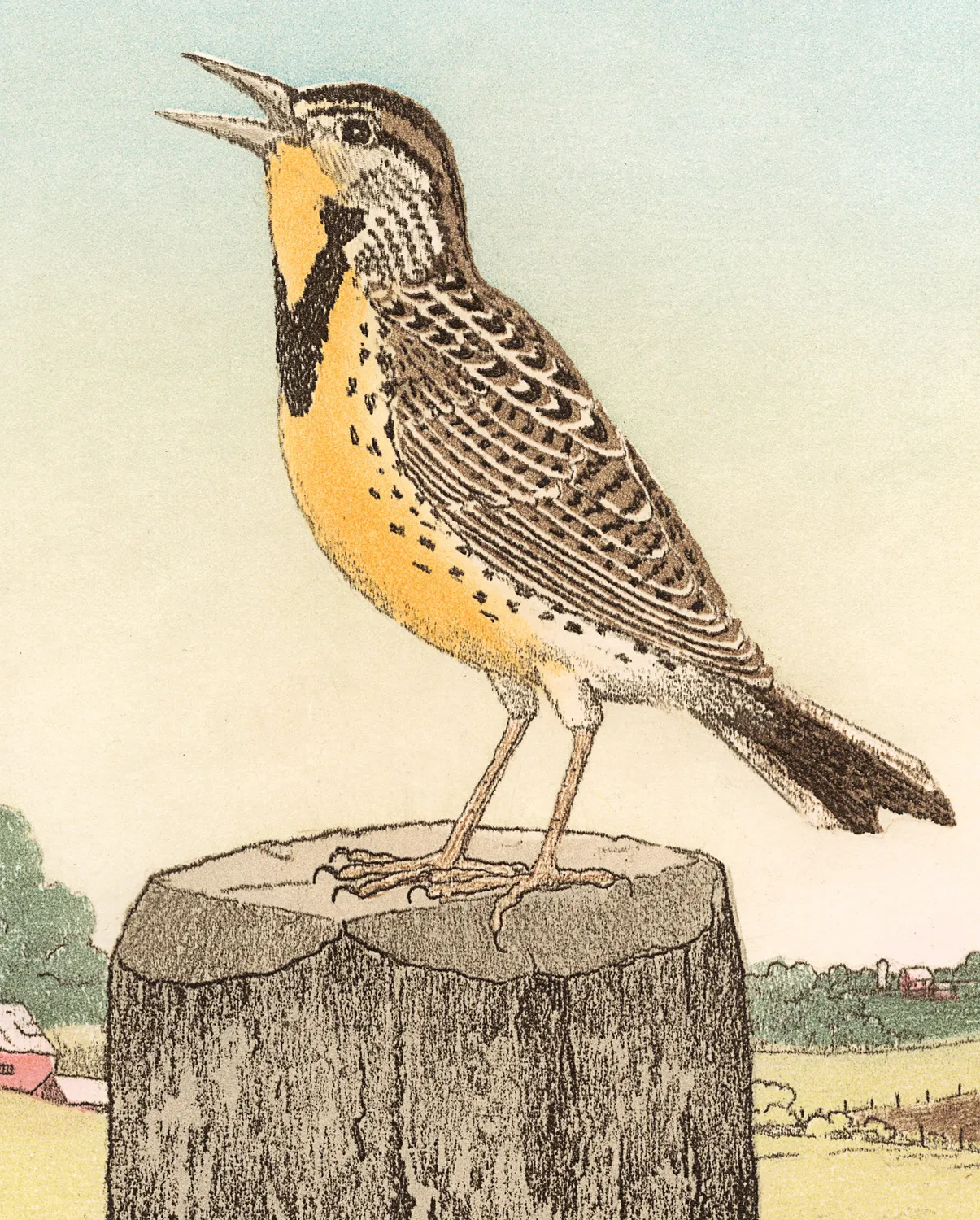 Pomegranate Maurice R. Bebb Meadowlark bogmærke fugl
