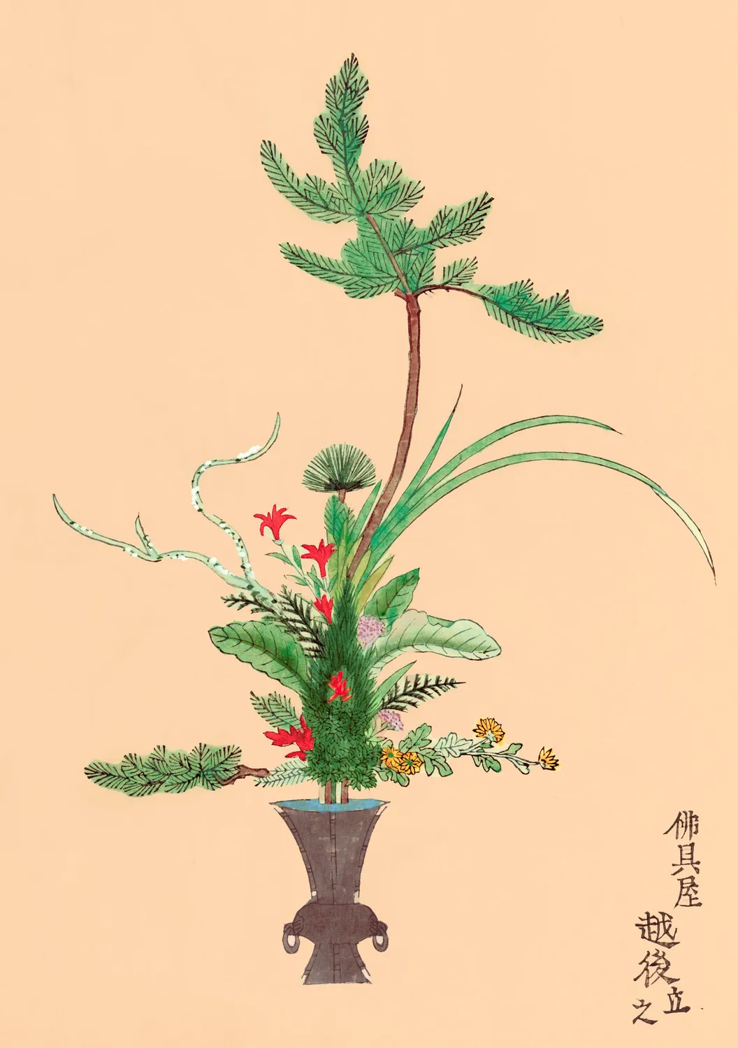 Pomegranate Rikka japanske blomster kortæske 20 stk