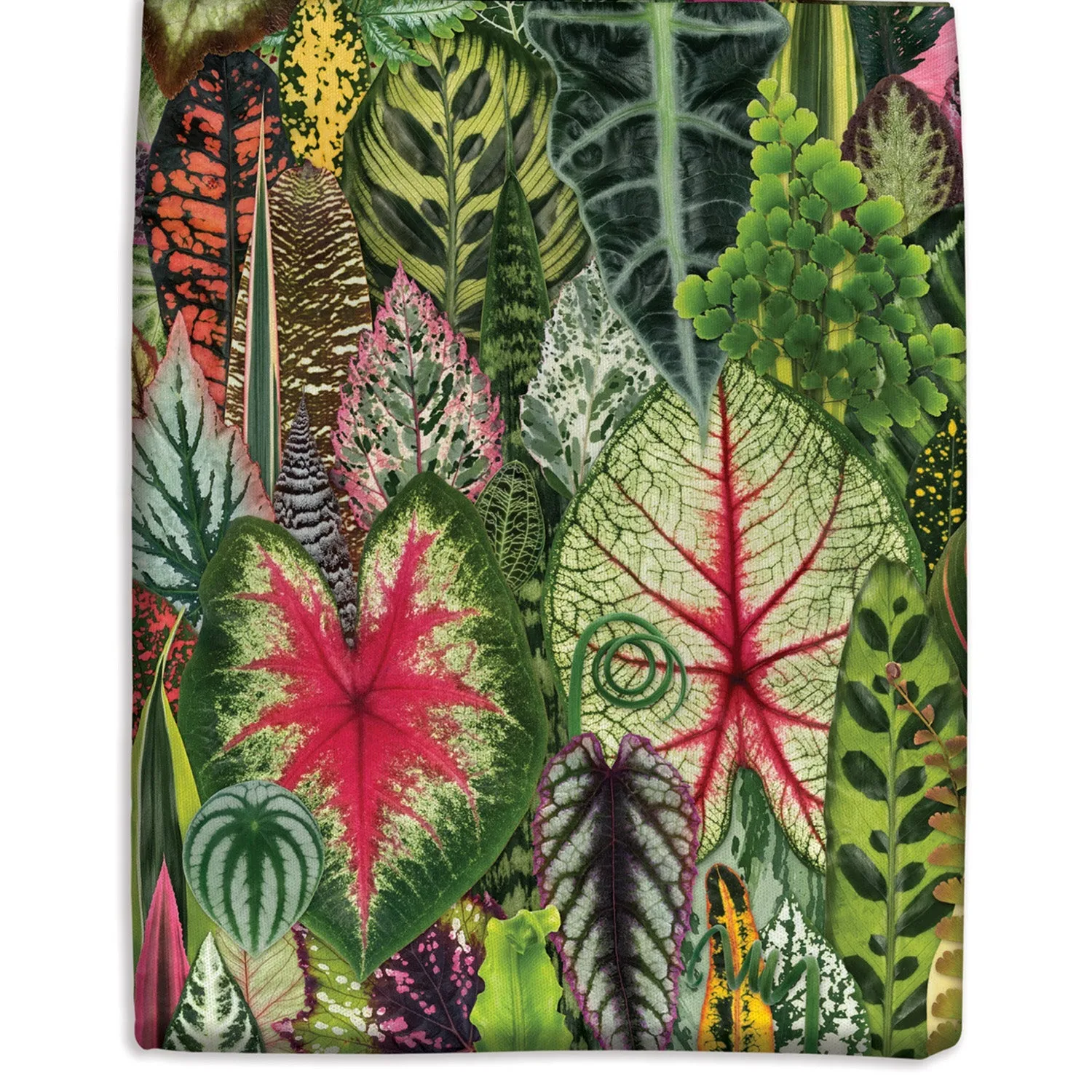 Galison Troy Litten mulepose Houseplant Jungle bomuld