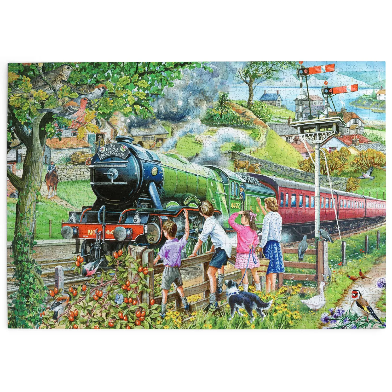 House of Puzzles Full Steam Ahead puslespil 1000 brikker tog