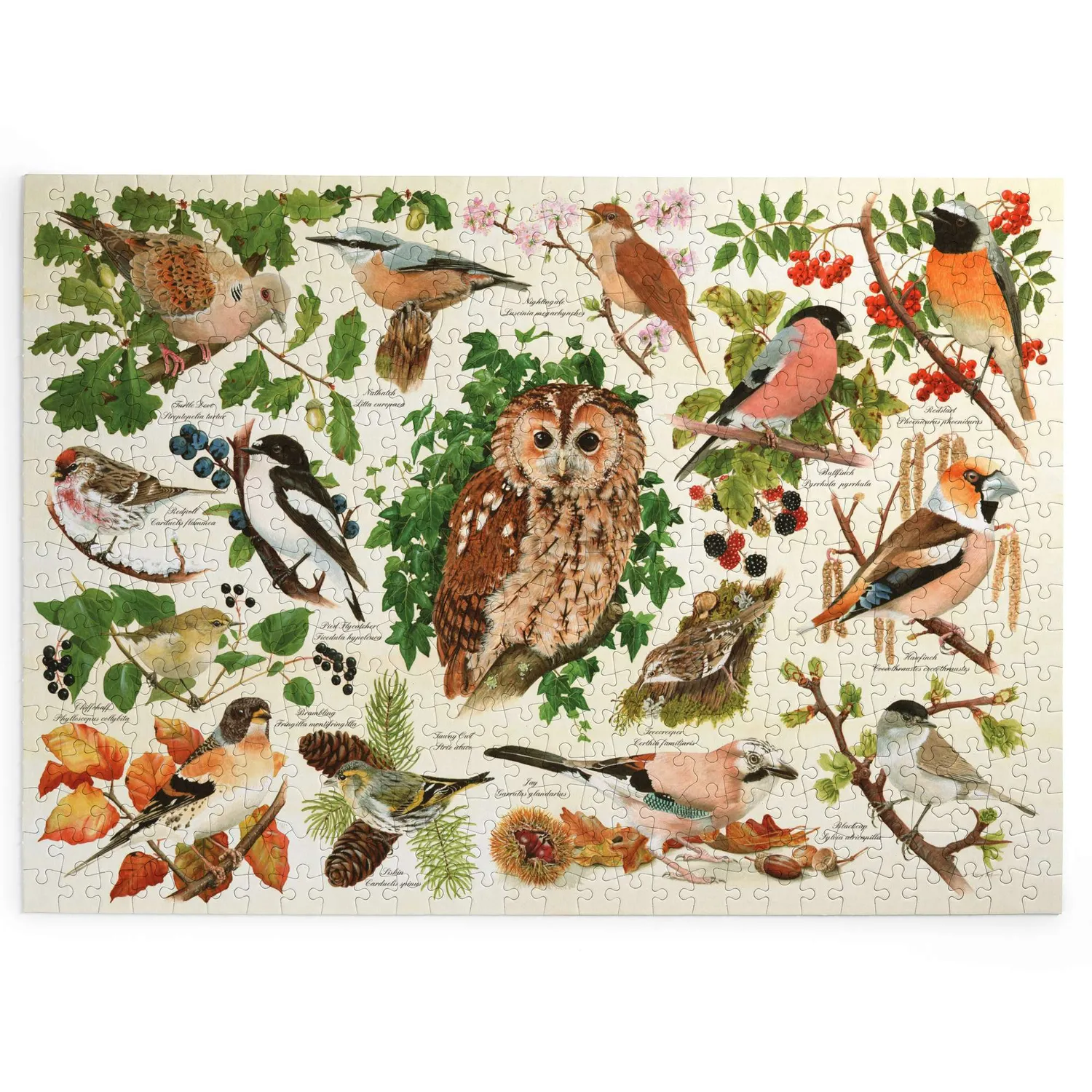 House of Puzzles BIG 500 Woodland Birds puslespil 500 brikker