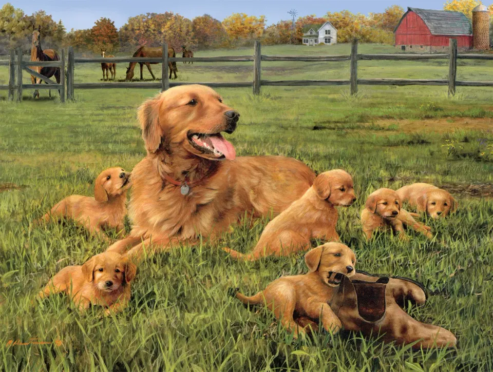Buffalo Games Dog Days Glorious Goldens puslespil 750 brikker hunde