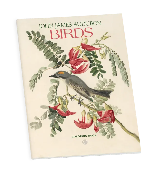 Pomegranate John James Audubon Birds malebog