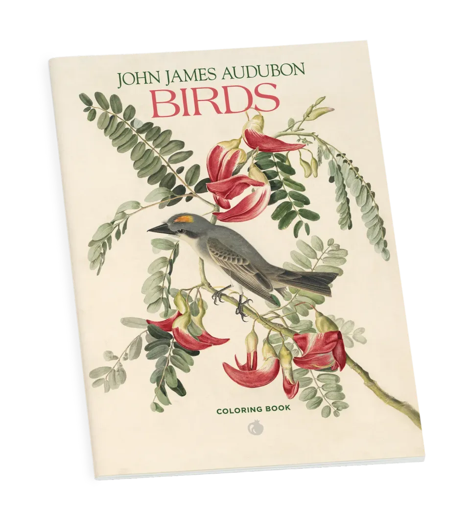 Pomegranate John James Audubon Birds malebog