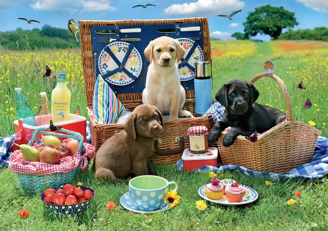 Buffalo Games Puppy Park Picnic puslespil 300 store brikker hvalpe
