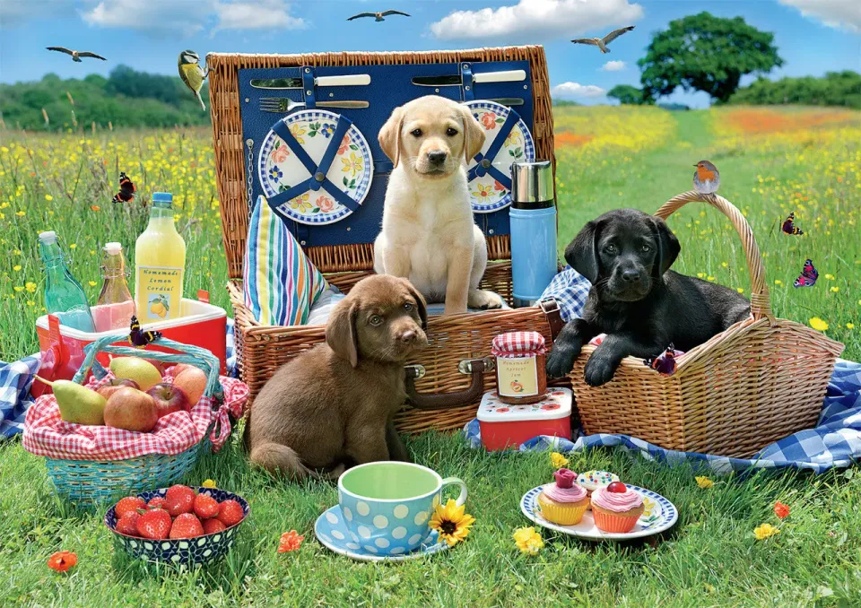 Buffalo Games Puppy Park Picnic puslespil 300 store brikker hvalpe