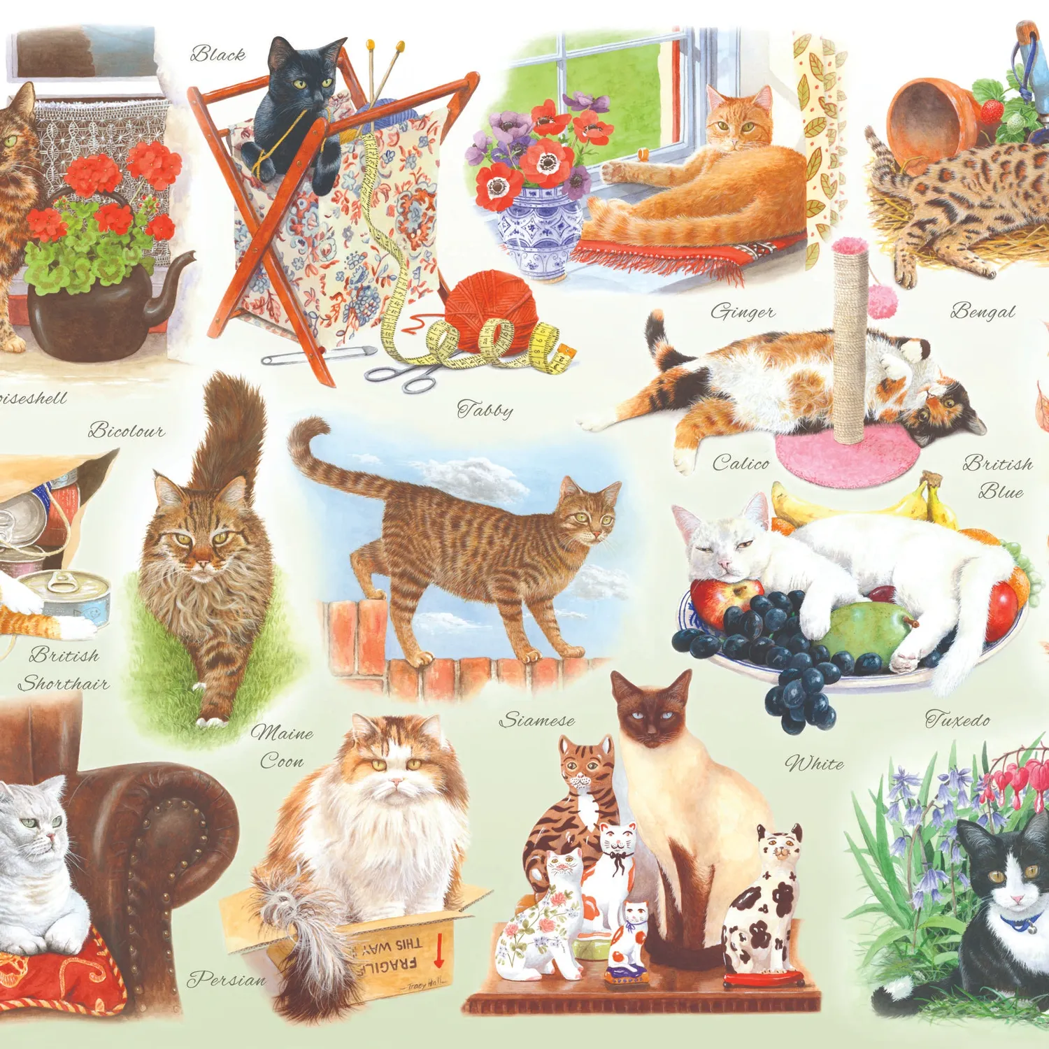 House of Puzzle BIG A Clowder of Cats puslespil 500 katte