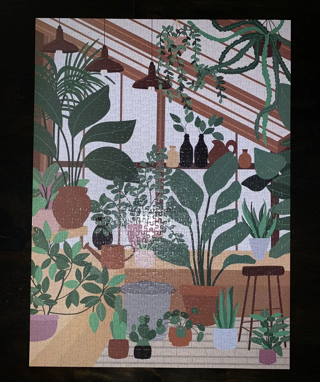Galison House of Plants puslespil 1000 brikker planter