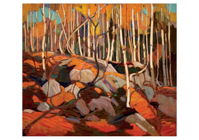 Pomegranate Thomson Birch Grove Autumn kort