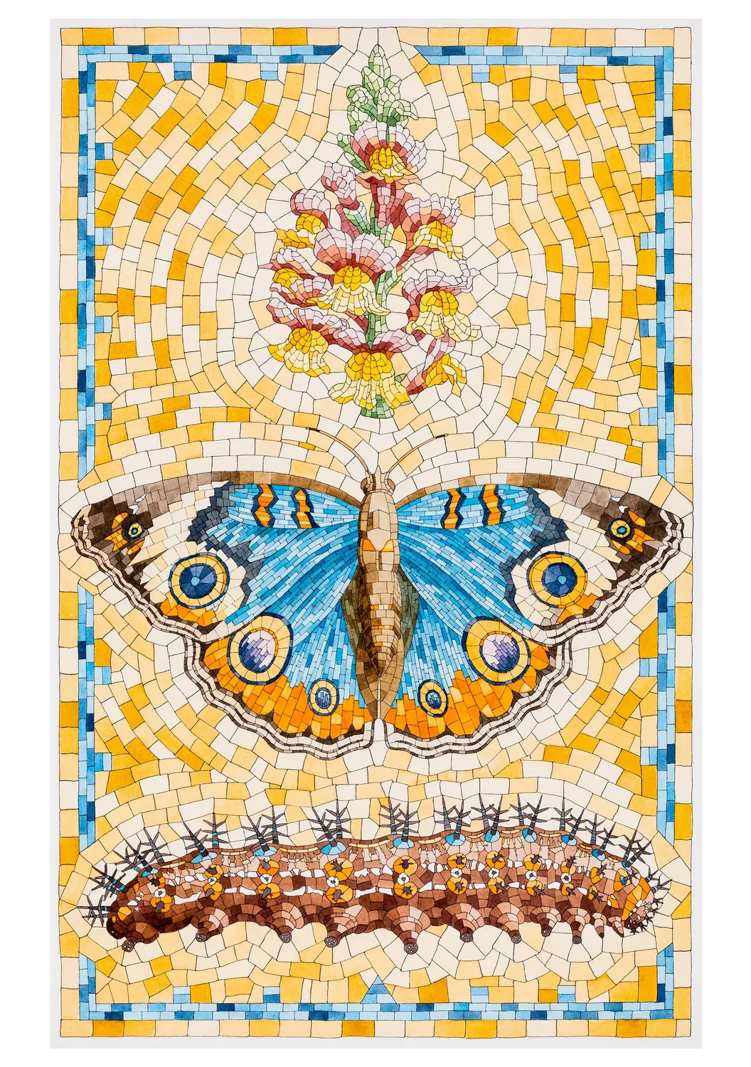 Pomegranate David Cohen Butterflies brevkortsæt sommerfugle