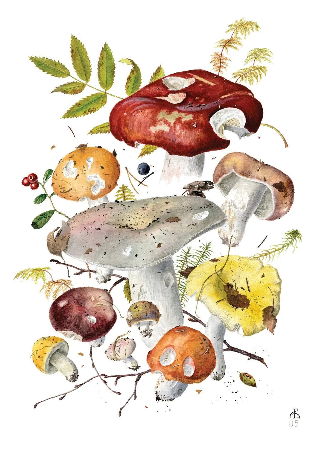Pomegranate Mushrooms Viazmensky kort sæt 20 stk svampe