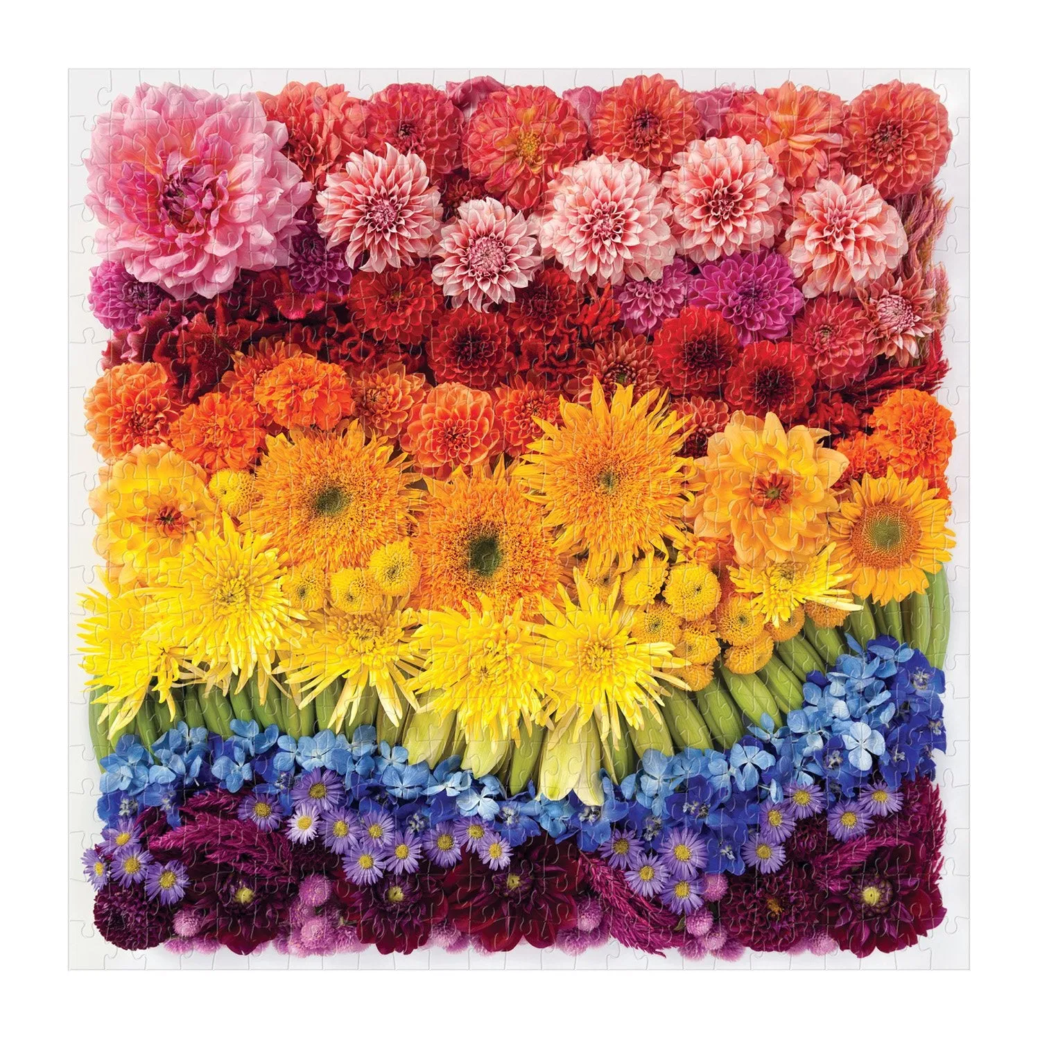 Good Puzzle Co. Rainbow Summer Flowers puslespil 500 brikker blomster