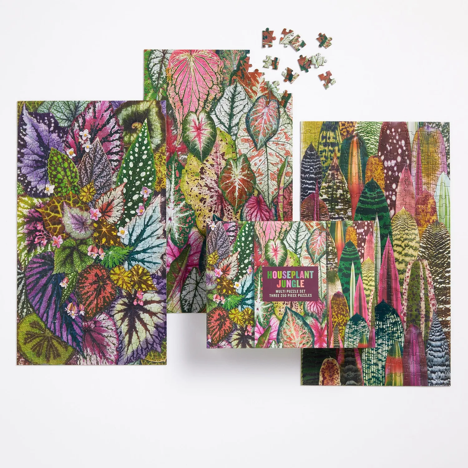 Good Puzzle Co. Houseplant Jungle puslespil 3x250 brikker planter