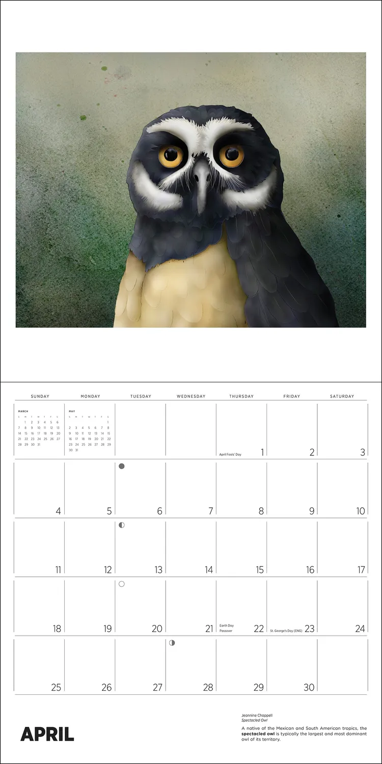 Pomegranate Owls Jeannine Chappell 2027 vægkalender ugler