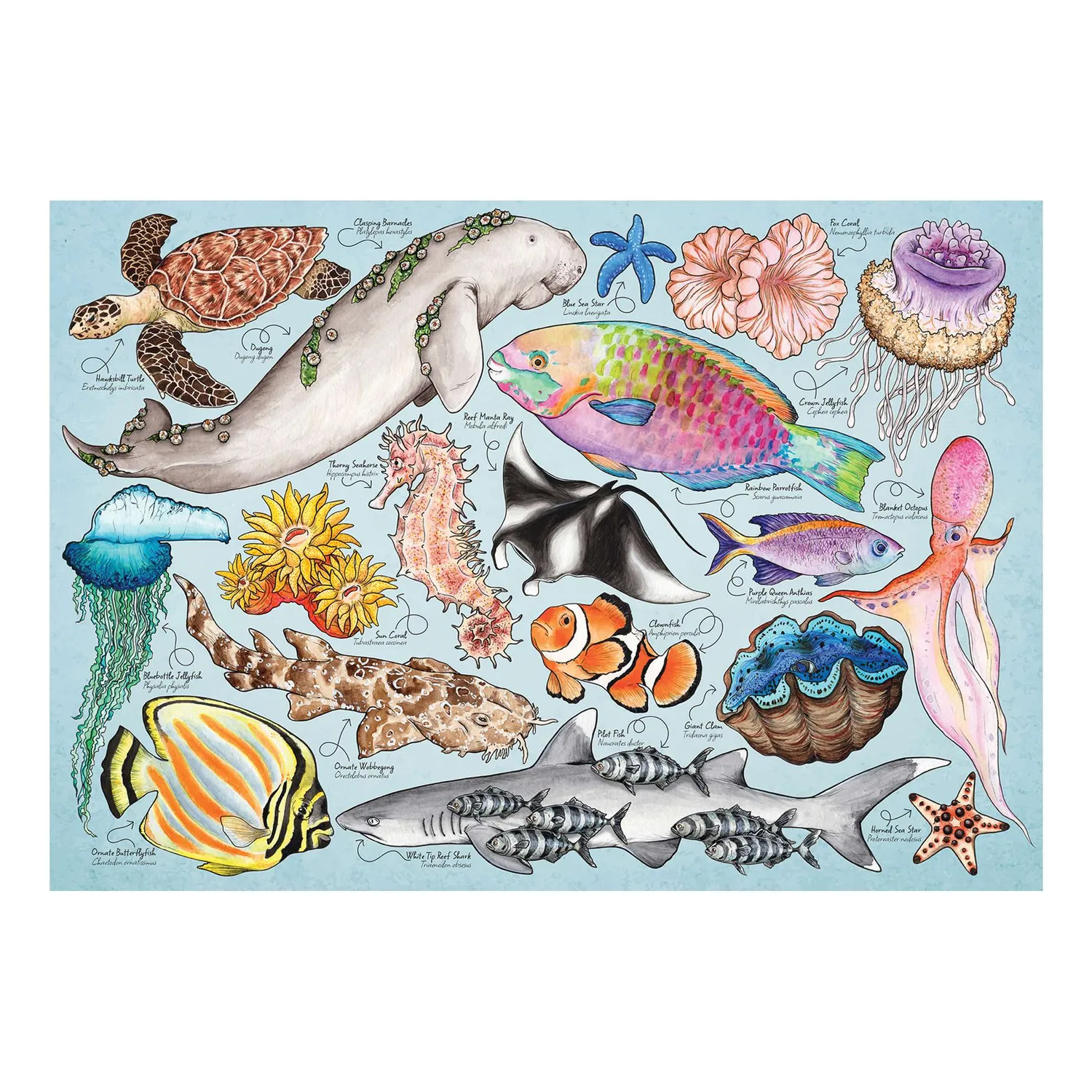 House of Puzzles Great Barrier Reef minipuslespil 150 brikker tube