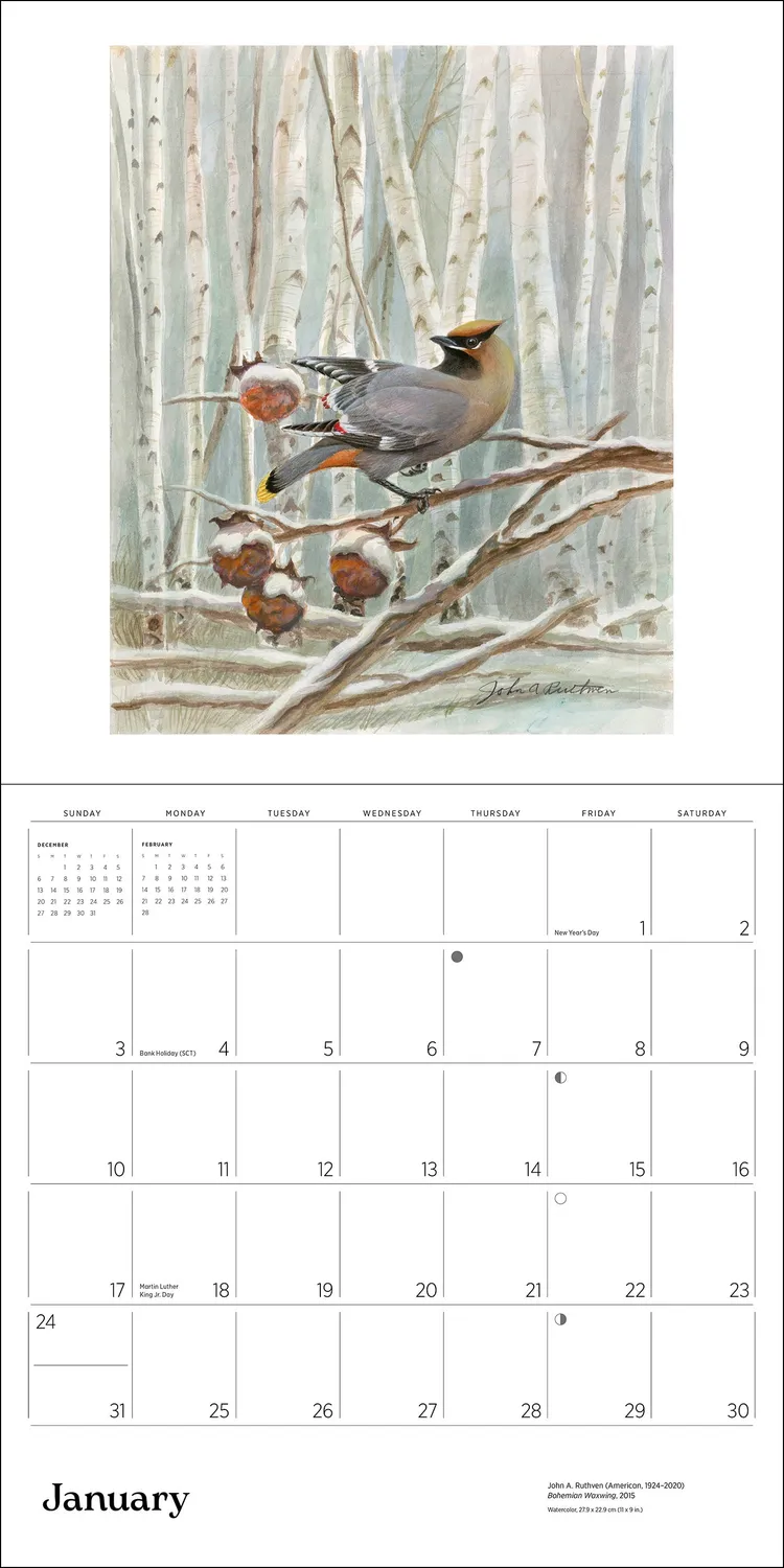 Pomegranate A Birder's View 2027 vægkalender fugle