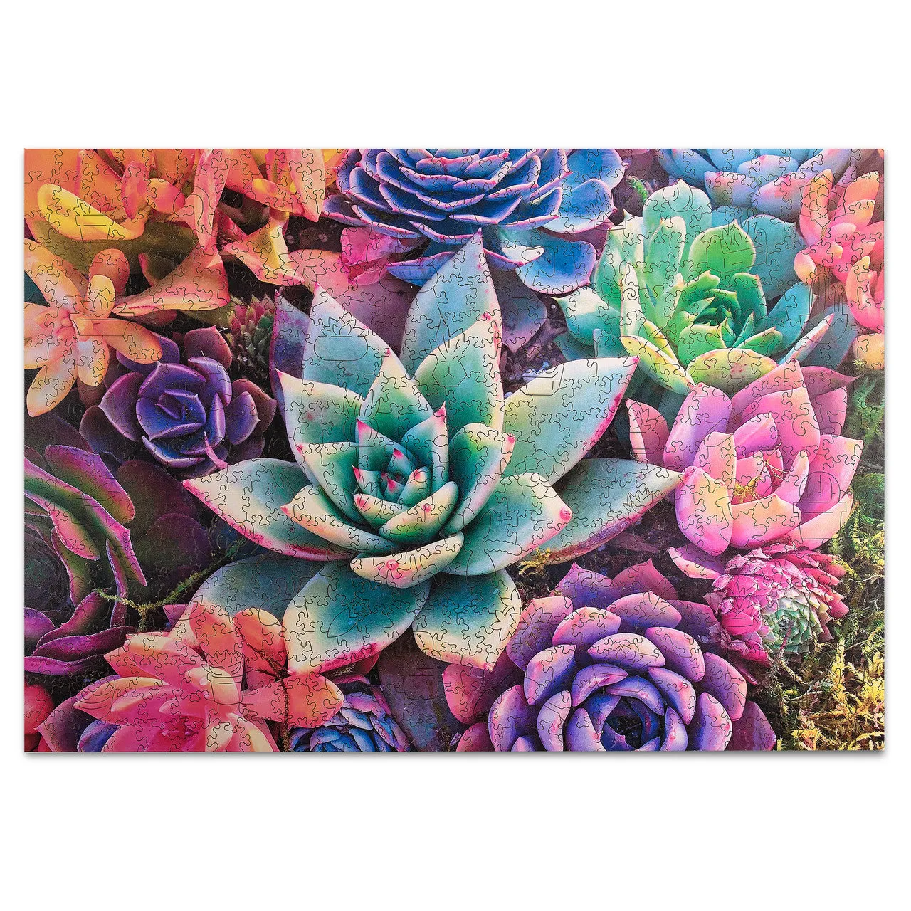 Buffalo Games Wood Simple Succulents træpuslespil 500 brikker blomst