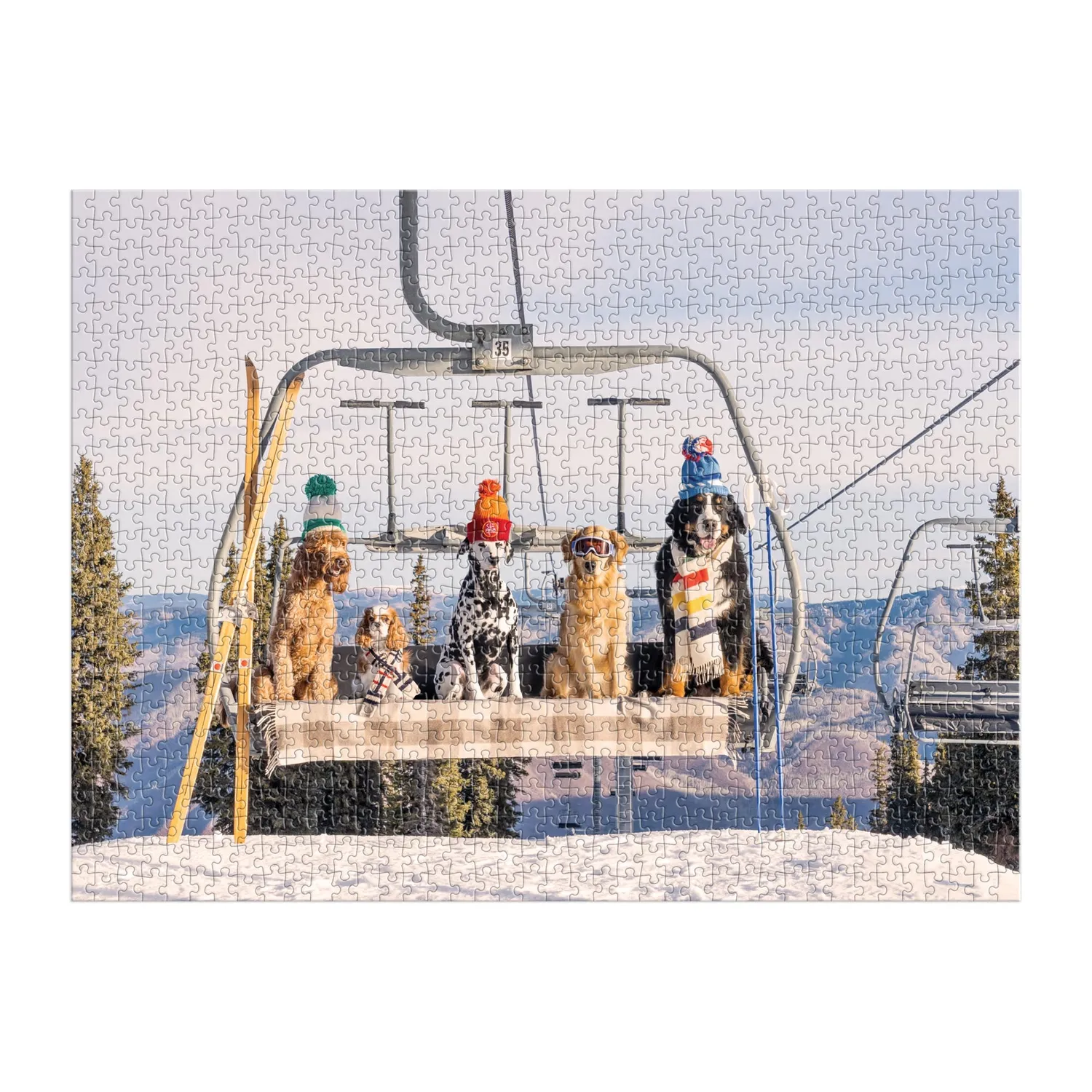 Good Puzzle Co. Gray Malin Aspen puslespil 1000 brikker