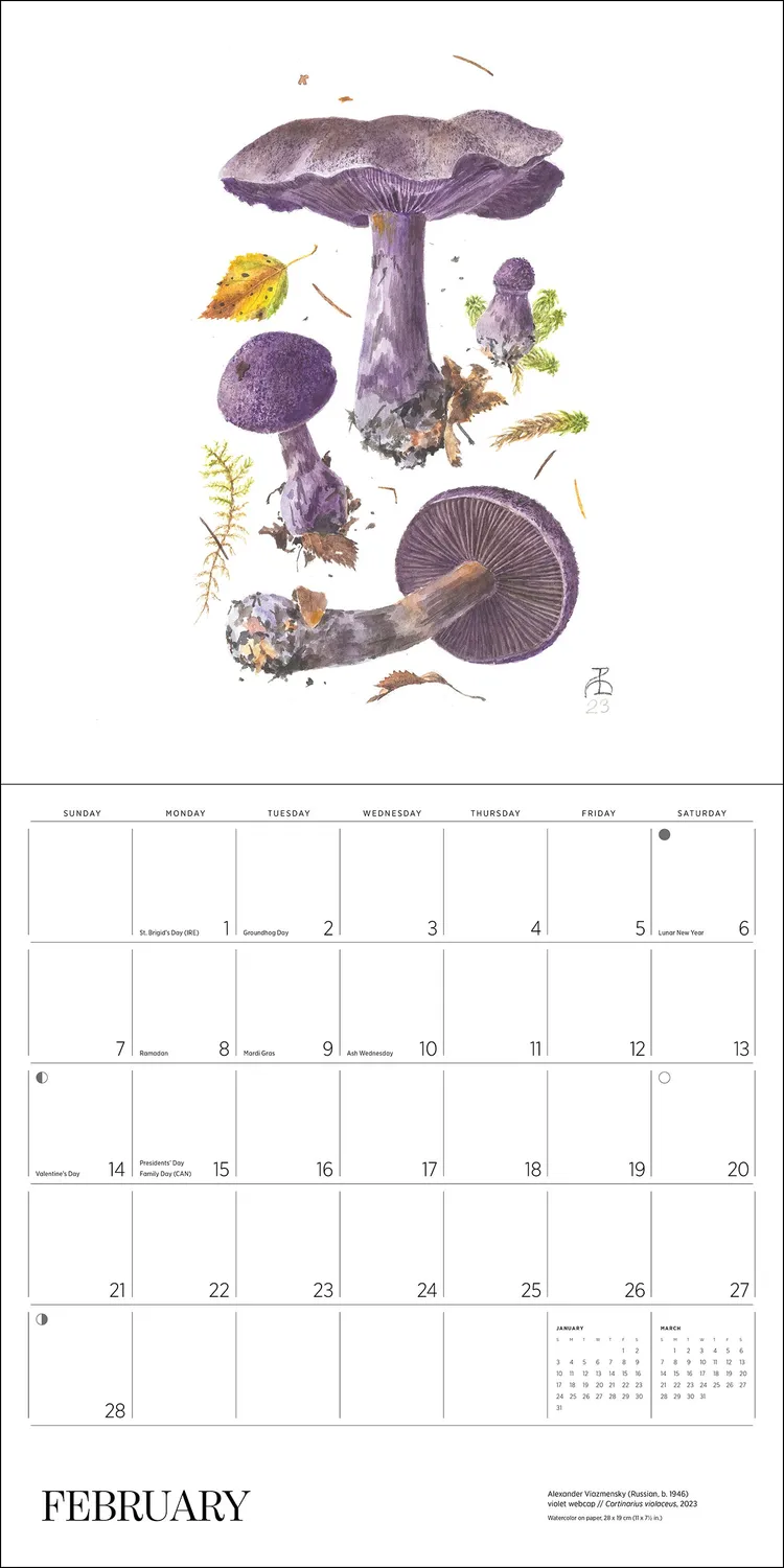 Pomegranate Mushrooms Alexander Viazmensky 2027 vægkalender svampe