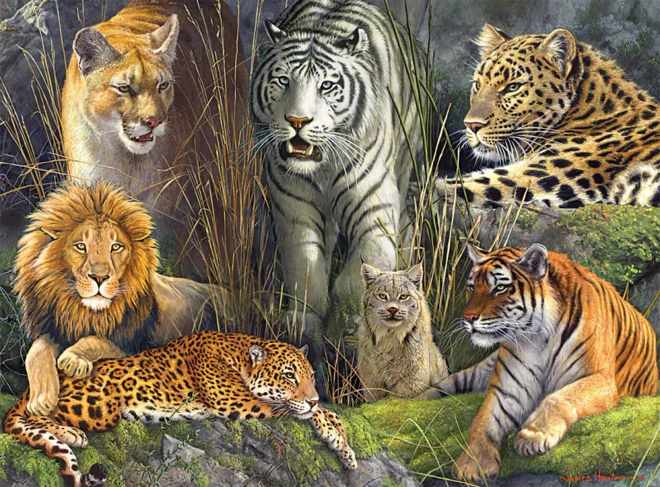 Buffalo Games Hautman Big Cat Collage puslespil 1000 brikker dyr