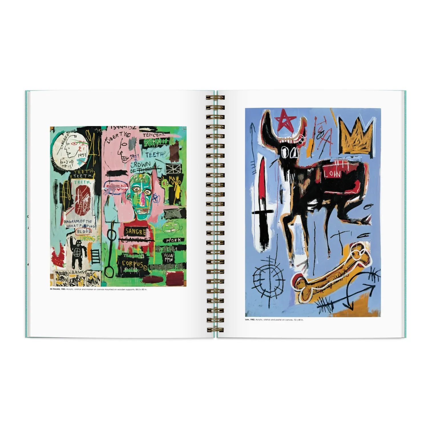 Galison Basquiat skitsebog 120 sider spiralryg