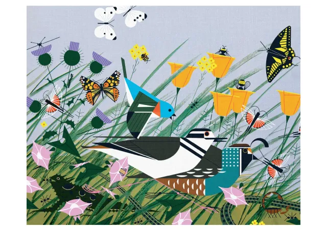 Pomegranate Charley Harper Once There Was a Field kort fugle
