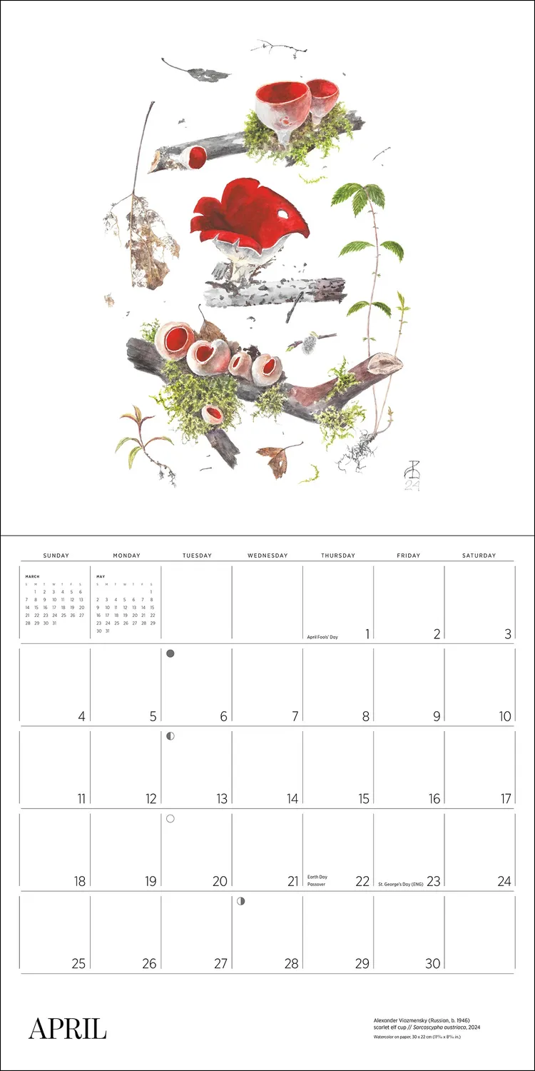 Pomegranate Mushrooms Alexander Viazmensky 2027 vægkalender svampe