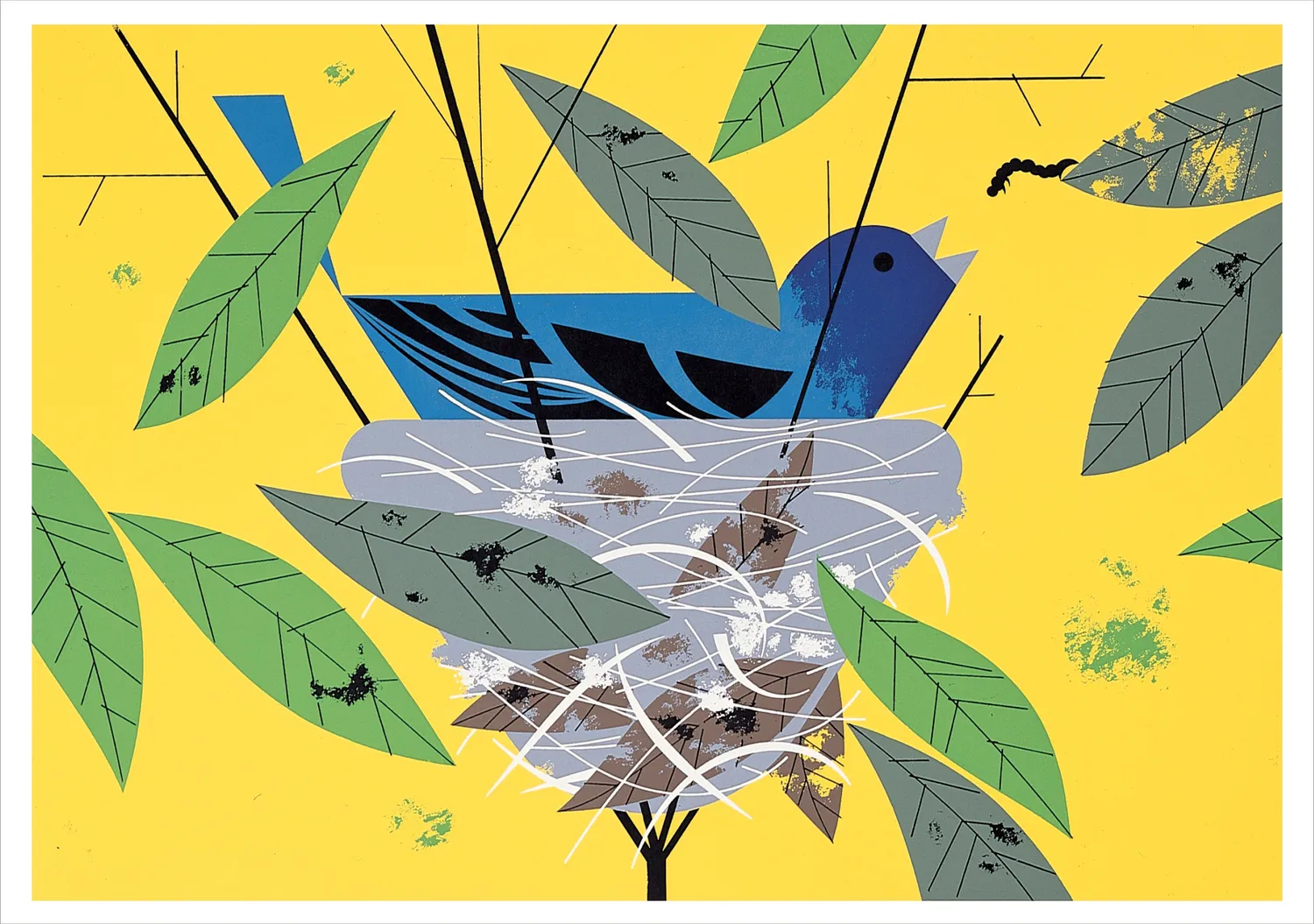 Pomegranate Charley Harper Nesting brevkort æske fugle