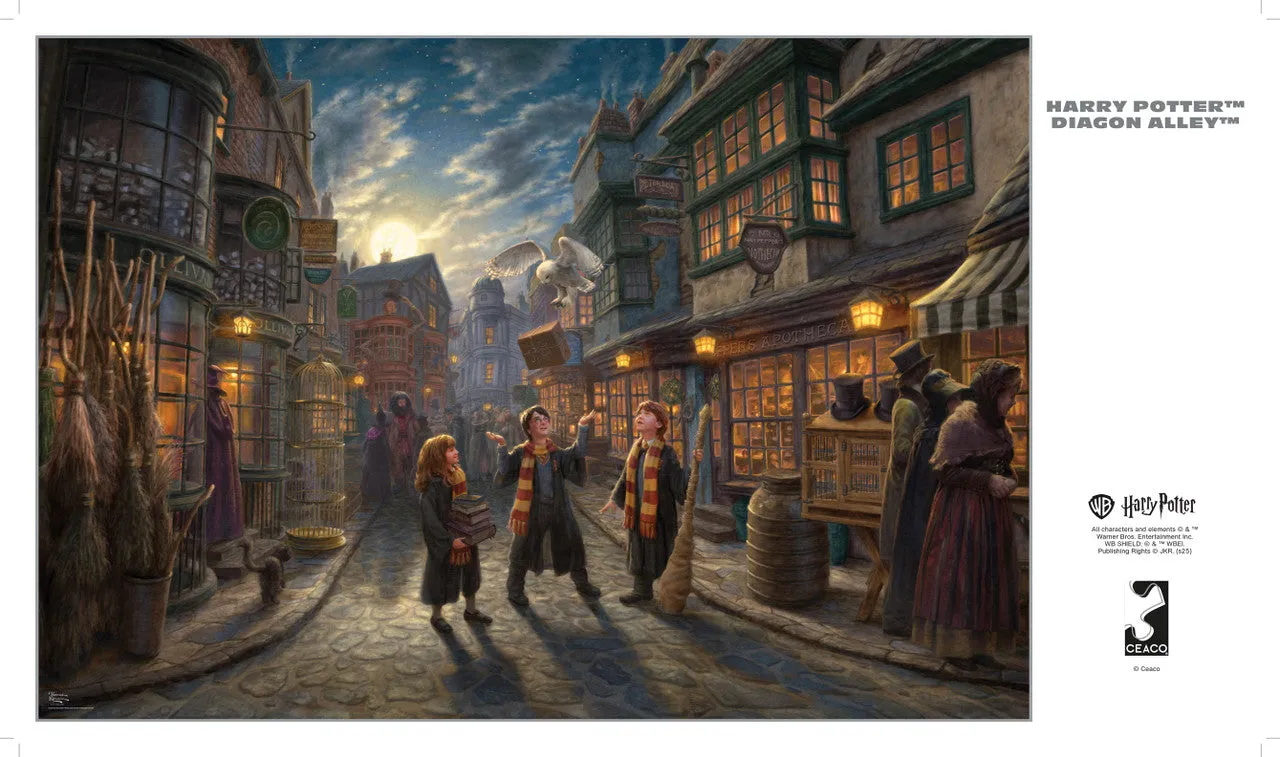 Ceaco Silver Select Diagon Alley puslespil 2000 brikker magi