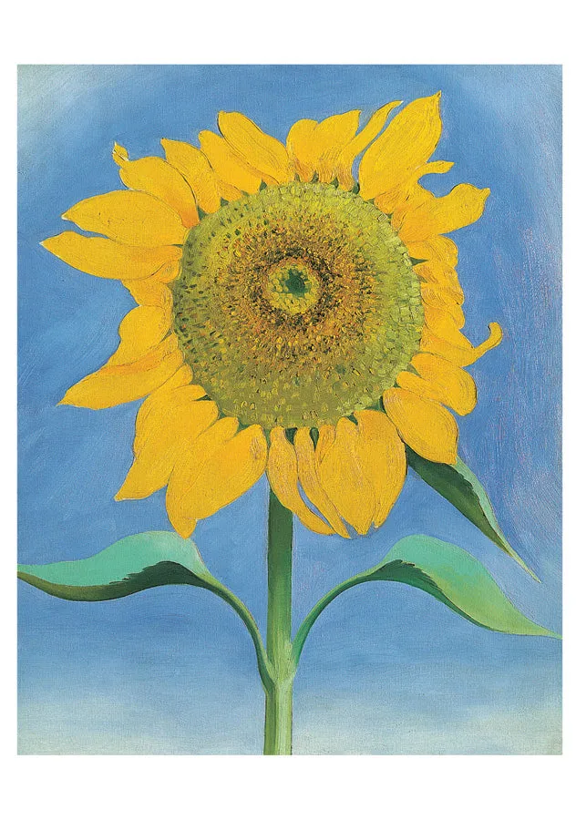 Pomegranate Georgia O'Keeffe Sunflowers kortmappe 10 stk