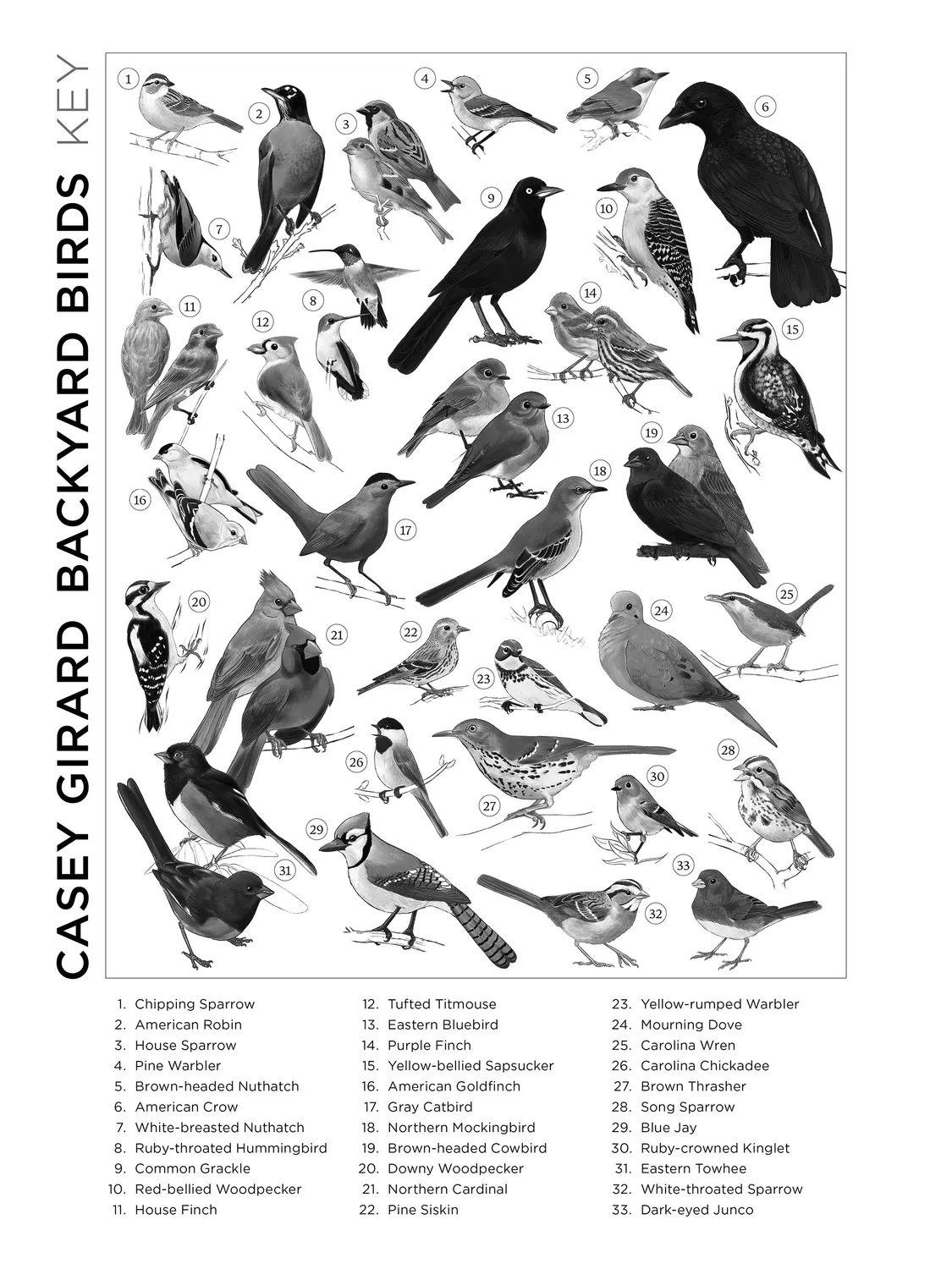Pomegranate Casey Girard Backyard Birds puslespil 1000 brikker fugle