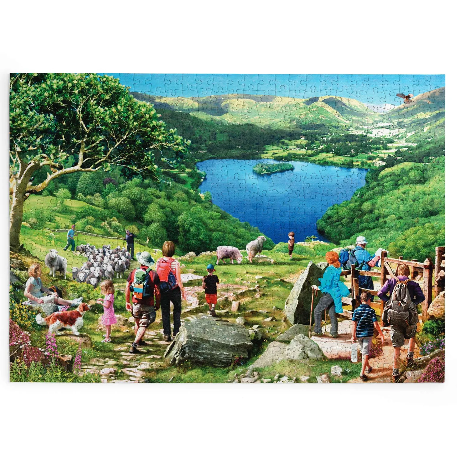 House of Puzzles BIG Lake View puslespil 500 brikker sø