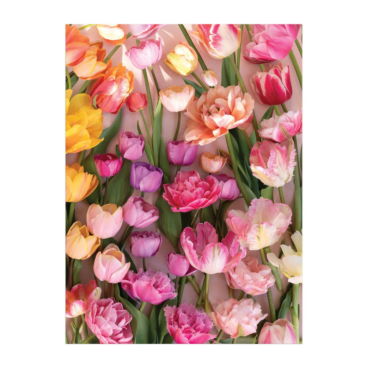 Galison Christine Chitnis Ephemeral Tulips puslespil 1000 brikker
