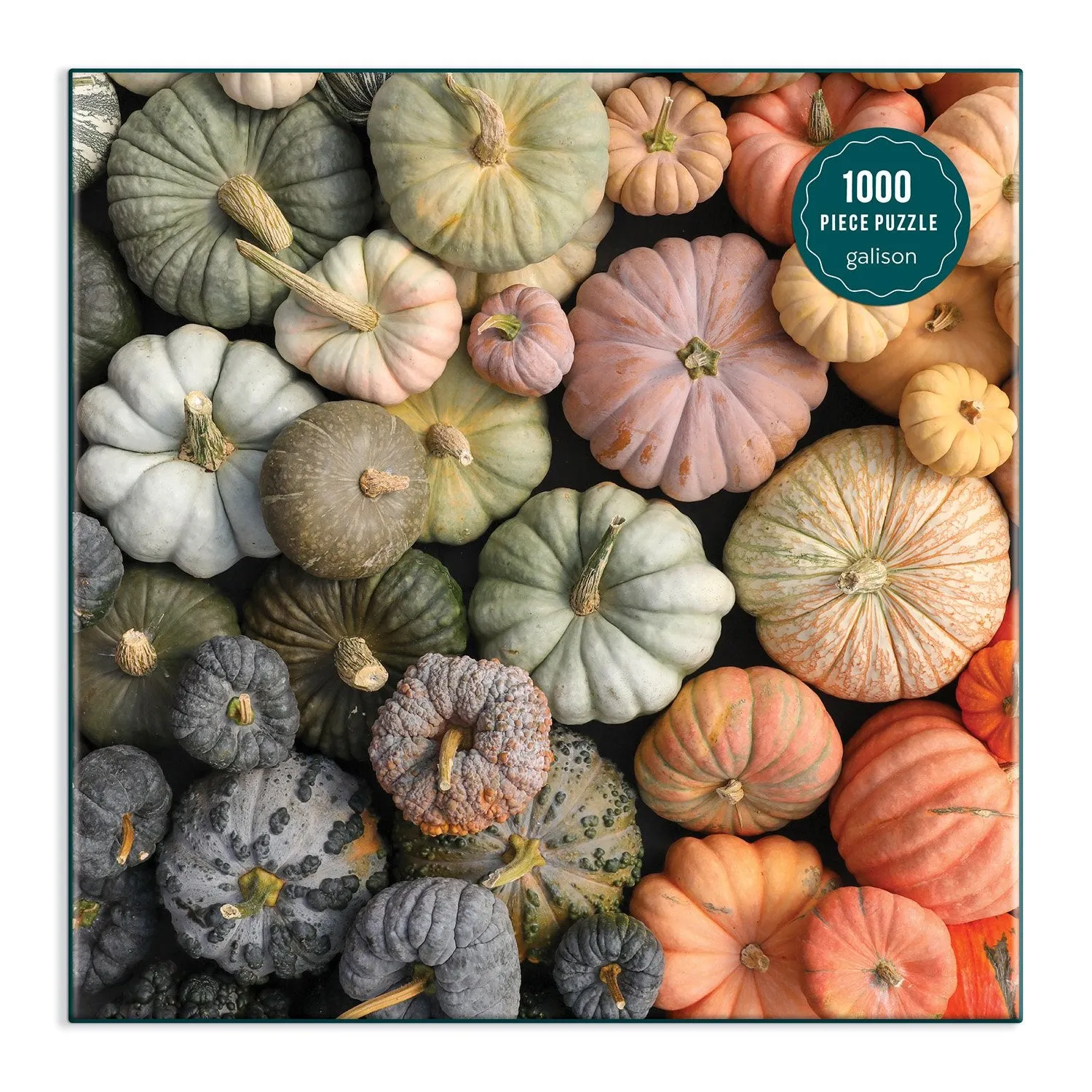 Galison Heirloom Pumpkins puslespil 1000 brikker efterår