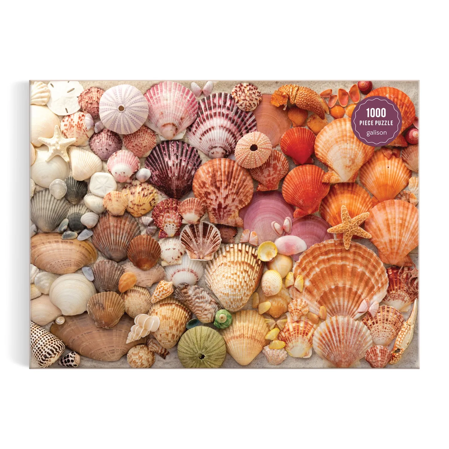 Good Puzzle Co. Vibrant Seashells puslespil 1000 muslinger